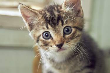 Similar image 8446465