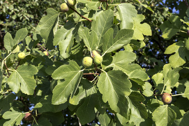 Similar image 8446488