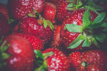 Similar image 8446495