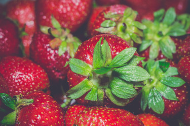 Similar image 8446496