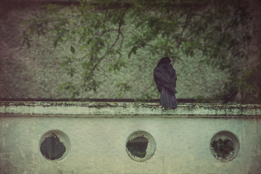 Similar image 8446497