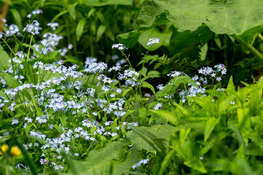 Similar image 8446501