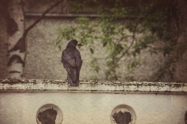 Similar image 8446503