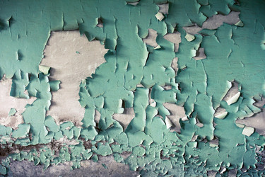 Similar image 8446530