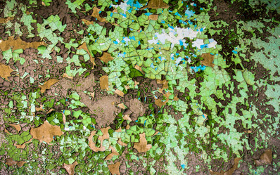 Similar image 8446537