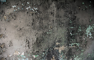 Similar image 8446539