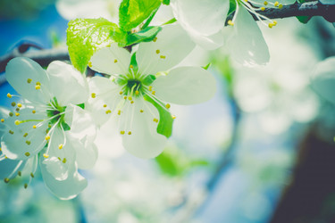 Similar image 8446560