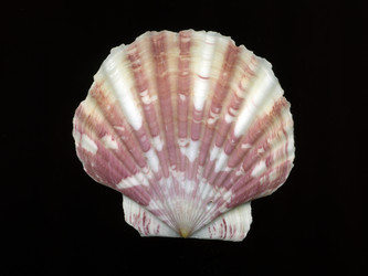 Similar image 8446570