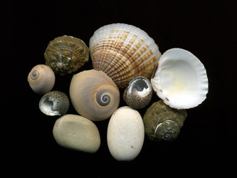 Similar image 8446573