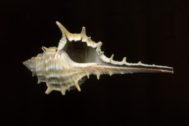 Similar image 8446574