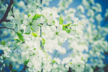 Similar image 8446588