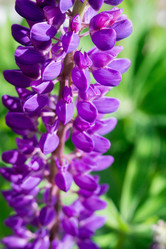 Similar image 8446589