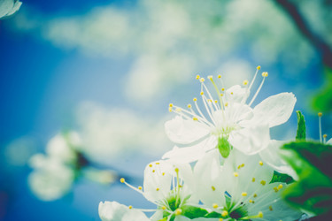 Similar image 8446590