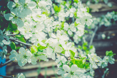 Similar image 8446593