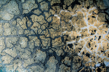 Similar image 8446601