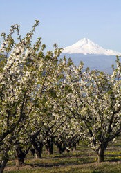 Similar image 8446851