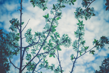 Similar image 8446896