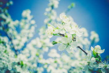 Similar image 8446897