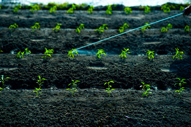 Similar image 8446931