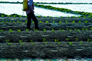 Similar image 8446932