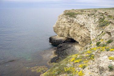 Similar image 8447054