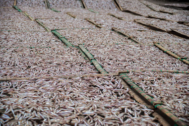 Similar image 8447092