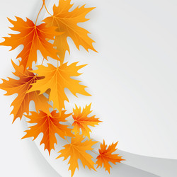 Similar image 8447396