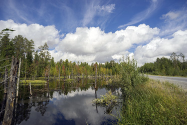 Similar image 8447454