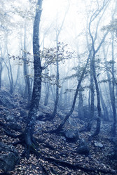 Similar image 8447498