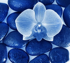 Similar image 8447508