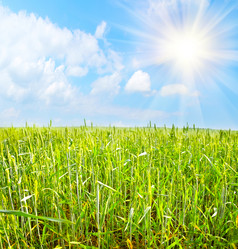 Similar image 8447567