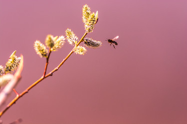 Similar image 8447743