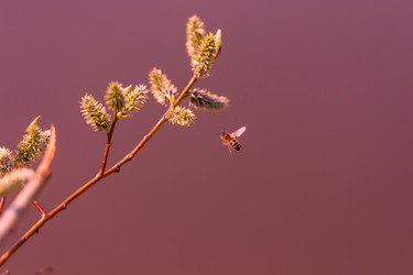 Similar image 8447744