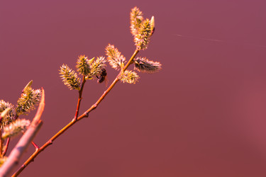 Similar image 8447746