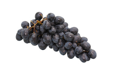 Similar image 8447995