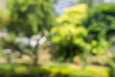 Similar image 8448040