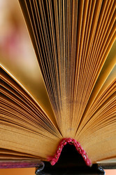 Similar image 8448064