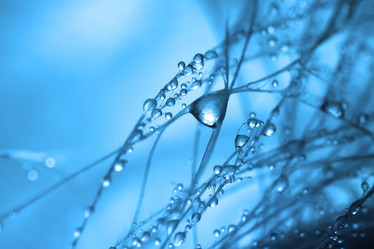 Similar image 8448689