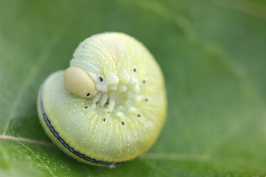 Similar image 8448691