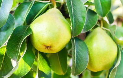 Similar image 8448710