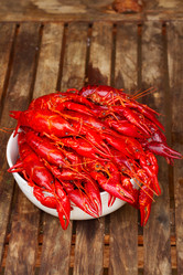 Similar image 8448842