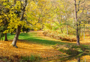 Similar image 8448912