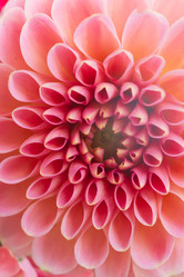 Similar image 8448915