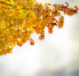 Similar image 8448916