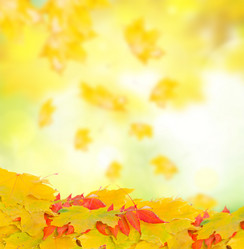 Similar image 8448917