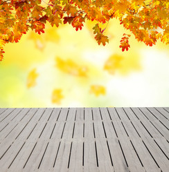 Similar image 8448918