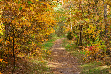 Similar image 8448928