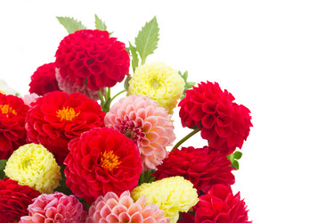 Similar image 8448931