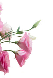 Similar image 8448936