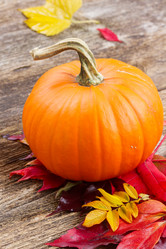 Similar image 8448964